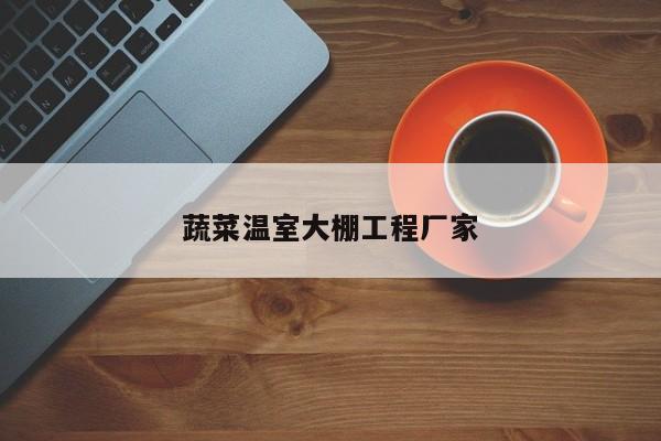 蔬菜温室大棚工程厂家